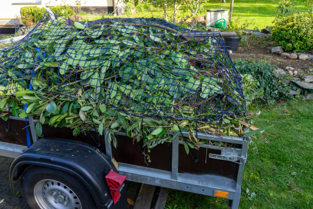 Shed Removal in Wailuku, HI